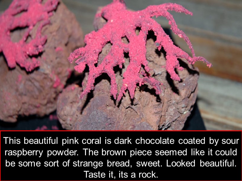 This beautiful pink coral is dark chocolate coated by sour raspberry powder. The brown